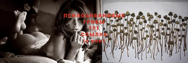 спиды Белоозёрский