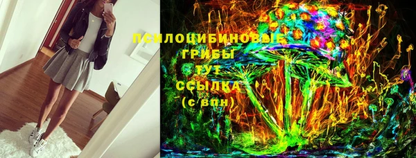 кокс Белокуриха