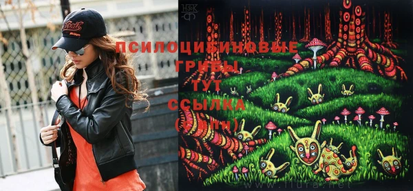 кокс Белокуриха