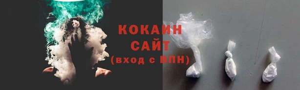 кокс Белокуриха