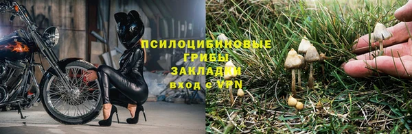 спиды Белоозёрский