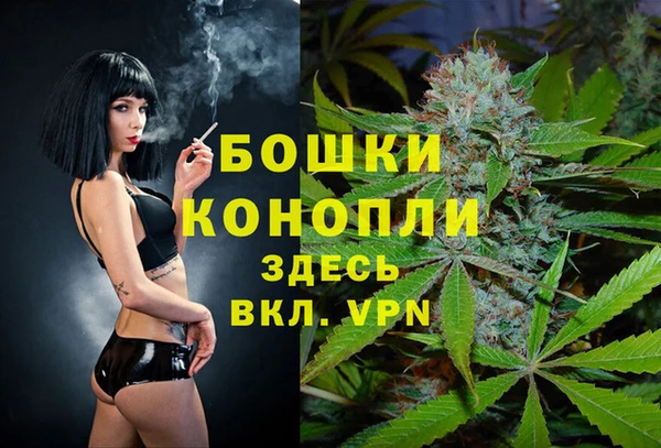 кокс Белокуриха