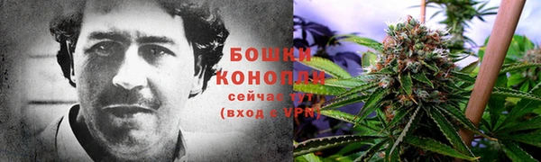 кокс Белокуриха